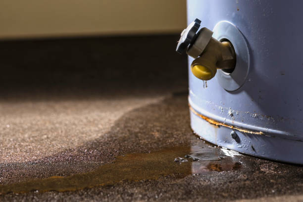 Best Water damage restoration near me  in New Haven, CT