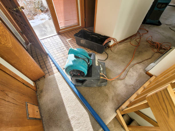 Best Water damage restoration near me  in New Haven, CT