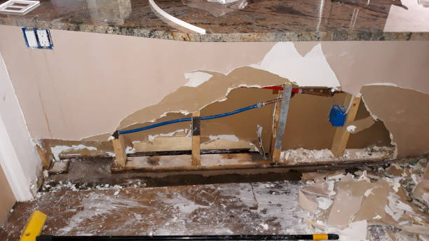 Best 24-hour water damage restoration  in New Haven, CT