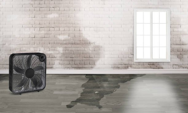 Reliable New Haven, CT Water damage restoration Solutions