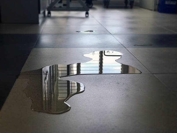 Best Local water damage restoration  in New Haven, CT